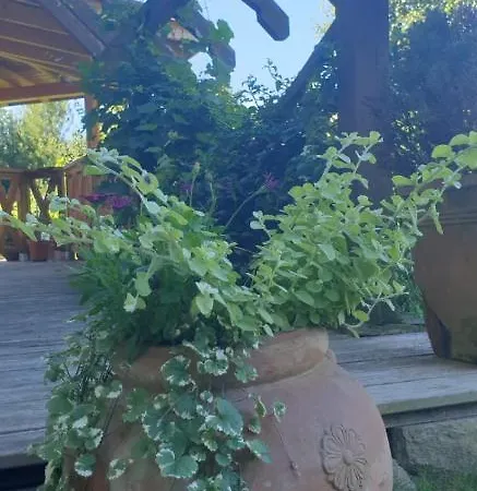 Dom Pod Wilczyńcem *