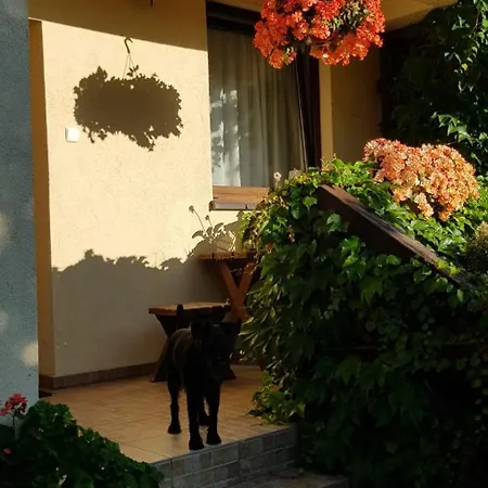 Dom Pod Wilczyncem Дом отдыха