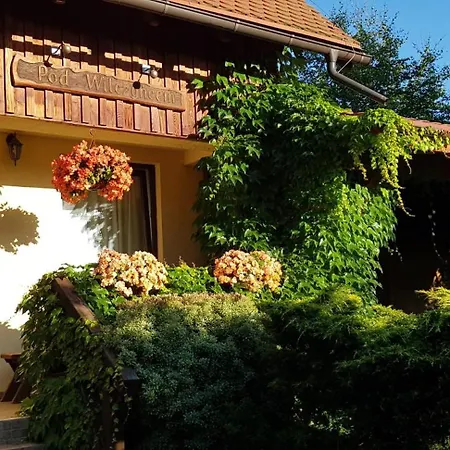 Dom Pod Wilczyńcem Stronie Śląskie