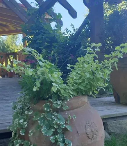 Dom Pod Wilczyncem *